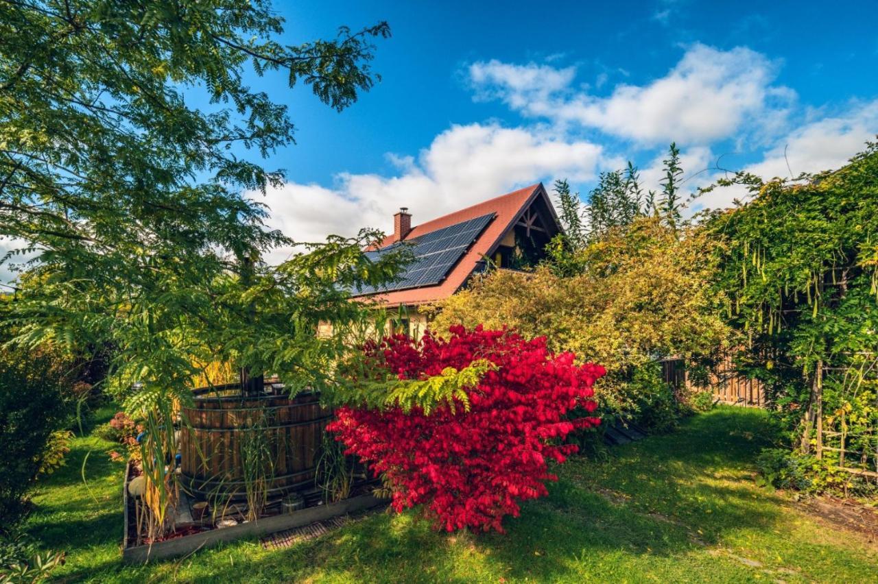 Smyrkowy Dom Z Kominkiem Z Goraca Balia Kolo Karpacza Janowice Wielkie Exterior photo